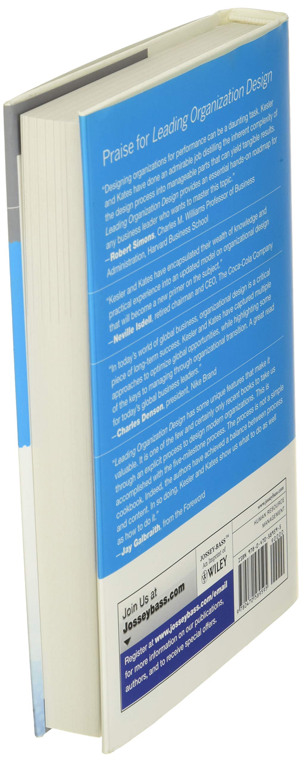 Leading Organization Design: Strategic Decisions to Drive Results for Business Growth and Team Efficiency