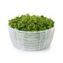 Premium Salad & Herb Spinner - Large Capacity Kitchen Gadget for Fresh Greens, Vegetables & Herbs - Perfect for Salads, Meal Prep & Healthy Eating
