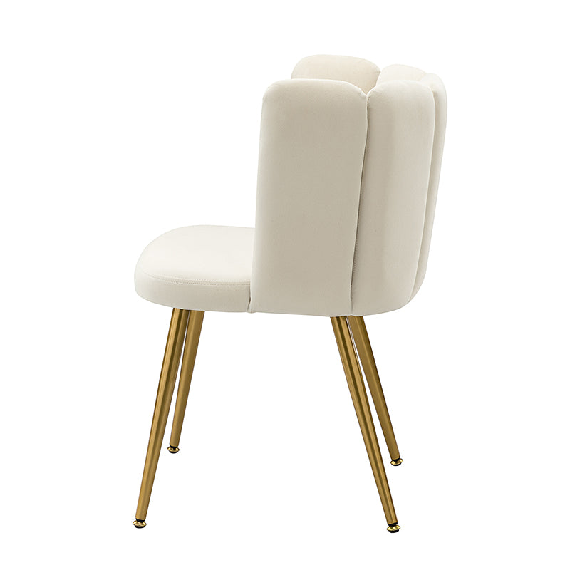 Elodia Side Chair - Modern Accent Chair for Dining Room, Living Room & Office - Sturdy Wooden Frame with Upholstered Seat - Perfect for Home Decor & Small Spaces
