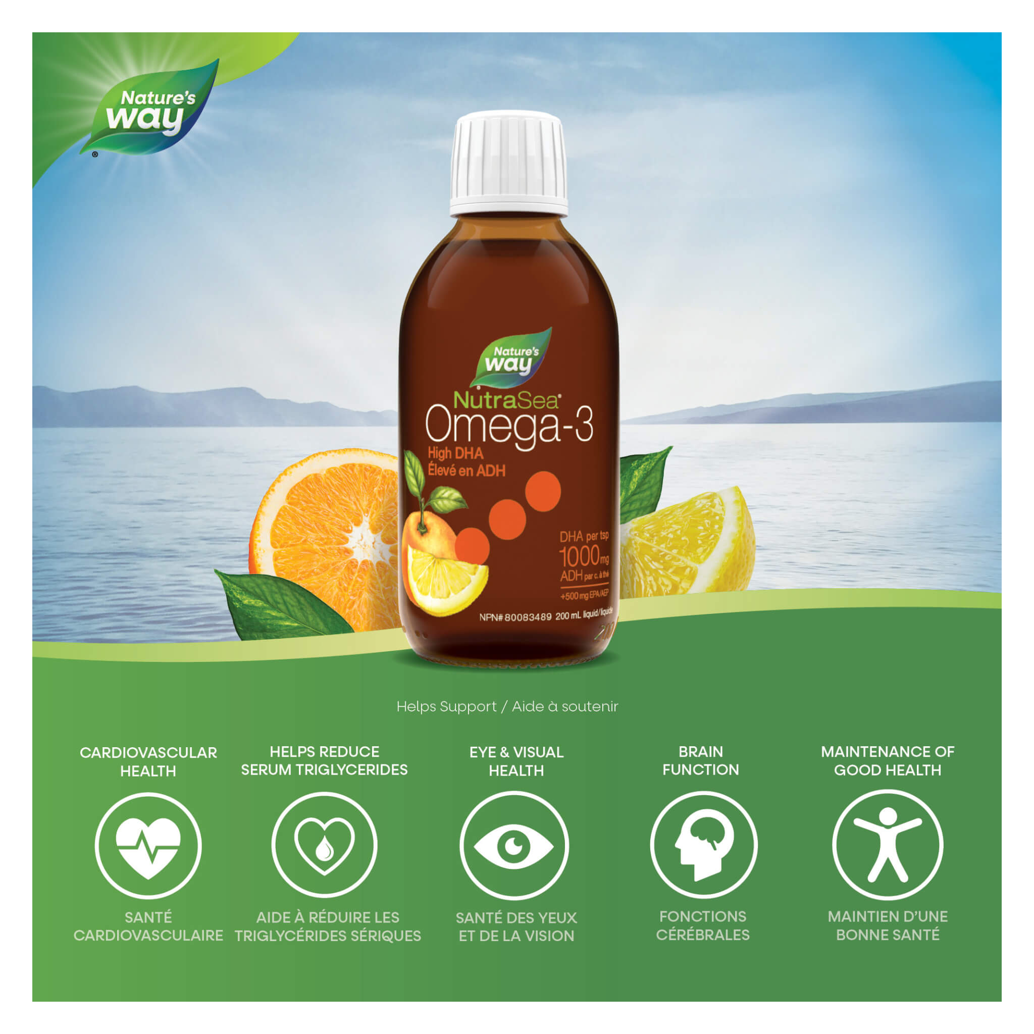 NutraSea DHA (Squid) High DHA Omega-3 Liquid Supplement - Juicy Citrus Flavor - Supports Brain, Heart & Eye Health - Perfect for Adults & Kids Daily Wellness Routine