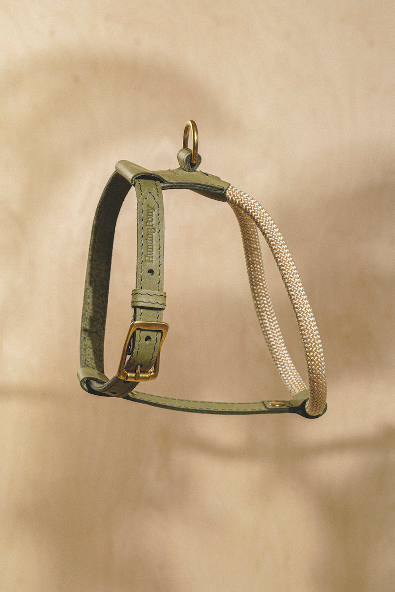 Premium Green Lightweight Rope Pony Harness for Equestrian Training & Trail Riding | Durable Makarony Design for Comfort & Control