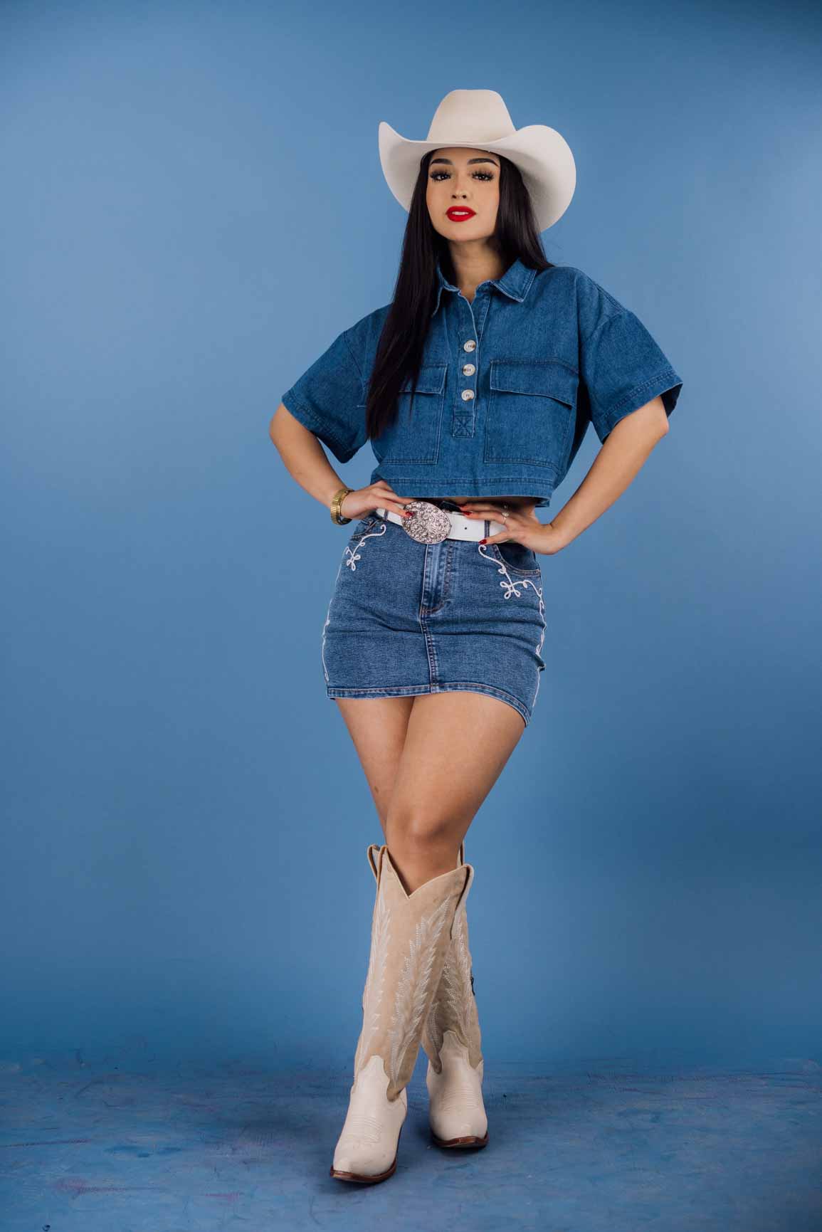 Stylish Mini Denim Skirt with Floral Embroidery - Women's Fashion Short Denim Skirt for Casual Outfits, Summer Wear, and Street Style