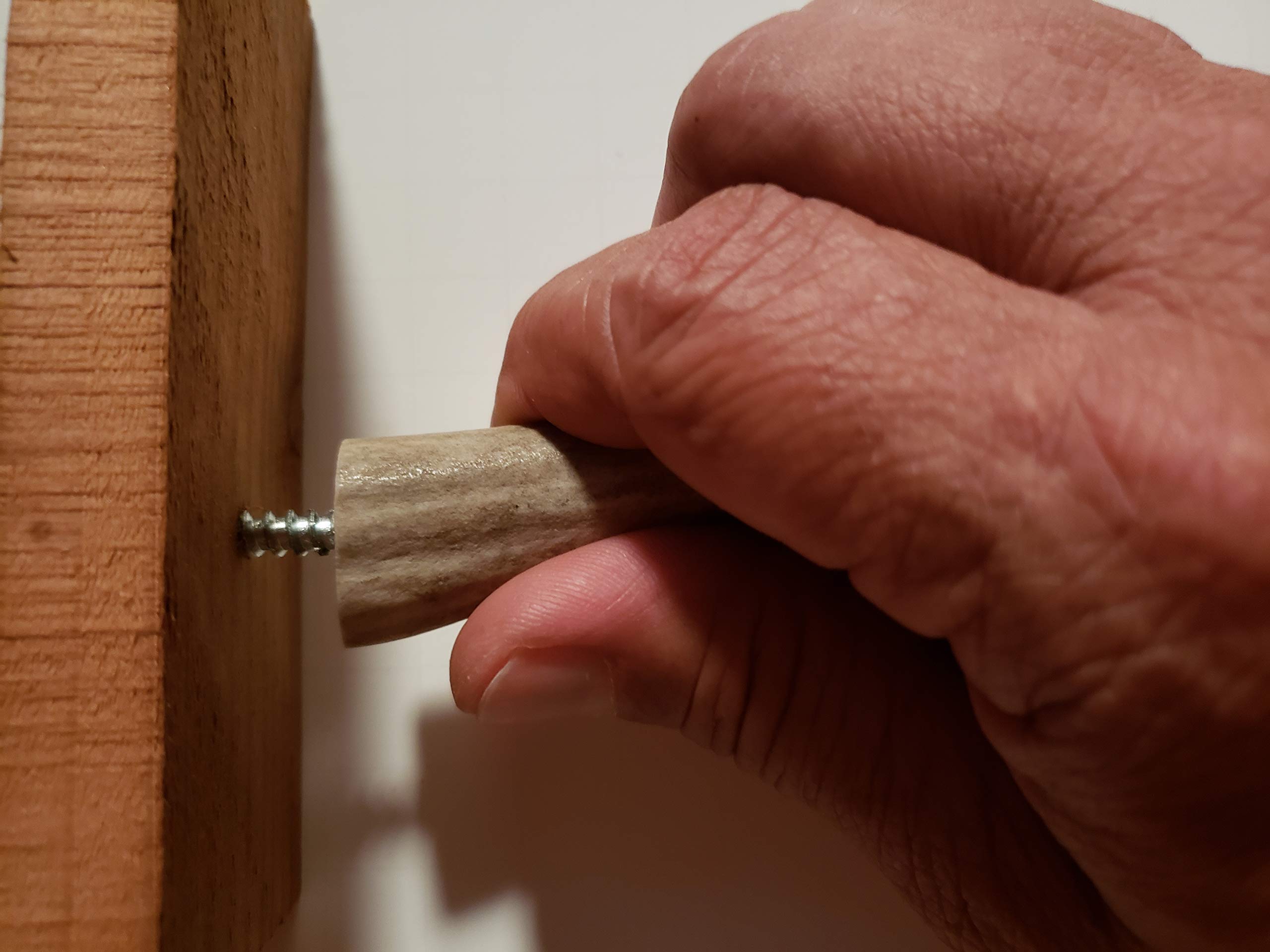 Premium Real Antler Tip Wall Hooks - 3 Pack for Screwing into Wood or Drywall - Perfect for Coats, Hats & Home Decor