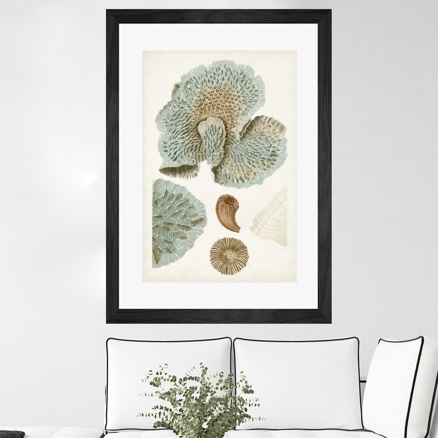 Coastal Curiosity V - Handmade Boho Coastal Decor for Home & Beach House - Perfect for Wall Art, Shelf Decor, and Beach Themed Gifts