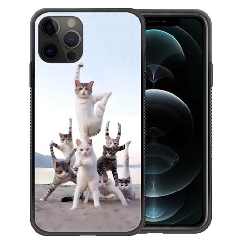 KungFu Yoga Cat