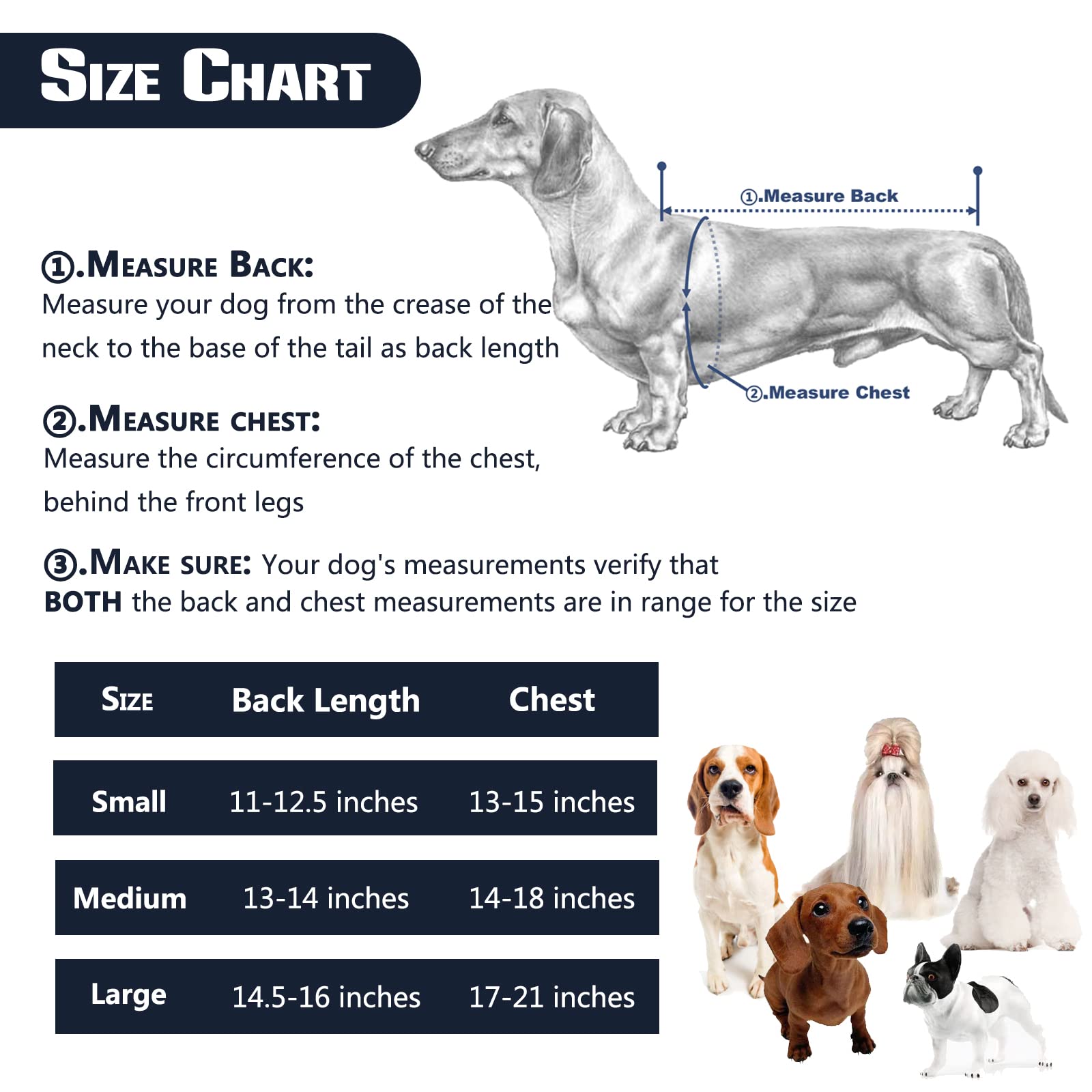Dog Back Brace for IVDD, Arthritis & Back Pain Relief - Support Harness for Dachshunds & Small Dogs - Post-Surgery Recovery & Rehabilitation Aid - Perfect for Walking, Playing & Daily Mobility Support