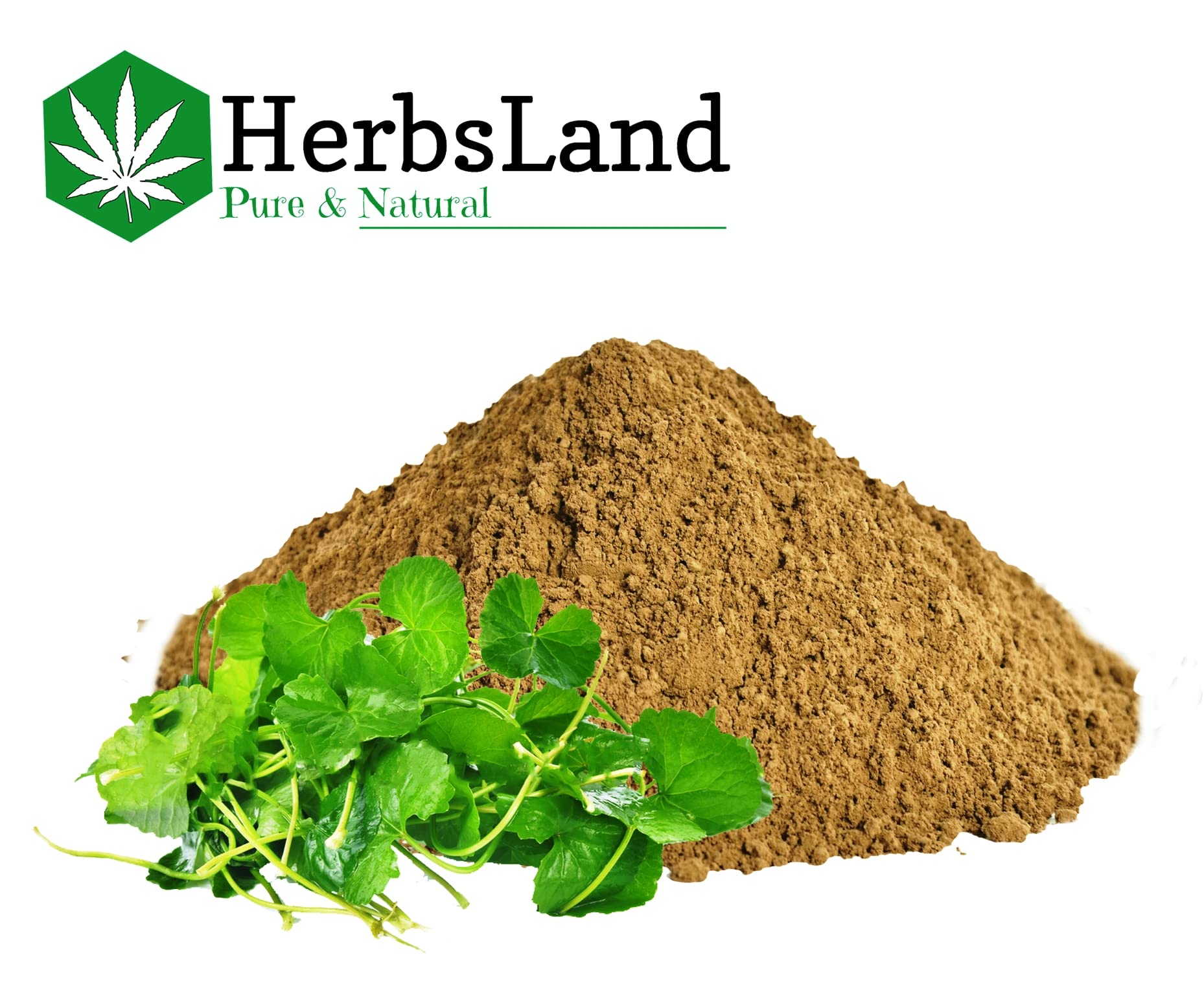 HerbsLand® Pure Bio Organic Amla Reetha Shikakai Brahmi Leaf Fenugreek Seed Powder - Natural Hair Growth & Anti-Dandruff Treatment | Face & Skin Care | Chemical-Free Shampoo Alternative (90g Each, 450g Total) for Healthy Hair & Glowing Skin at Home