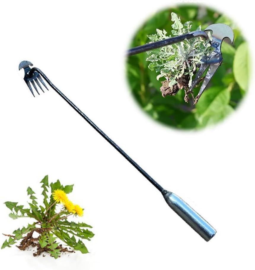 C-22.7in Iron Handle