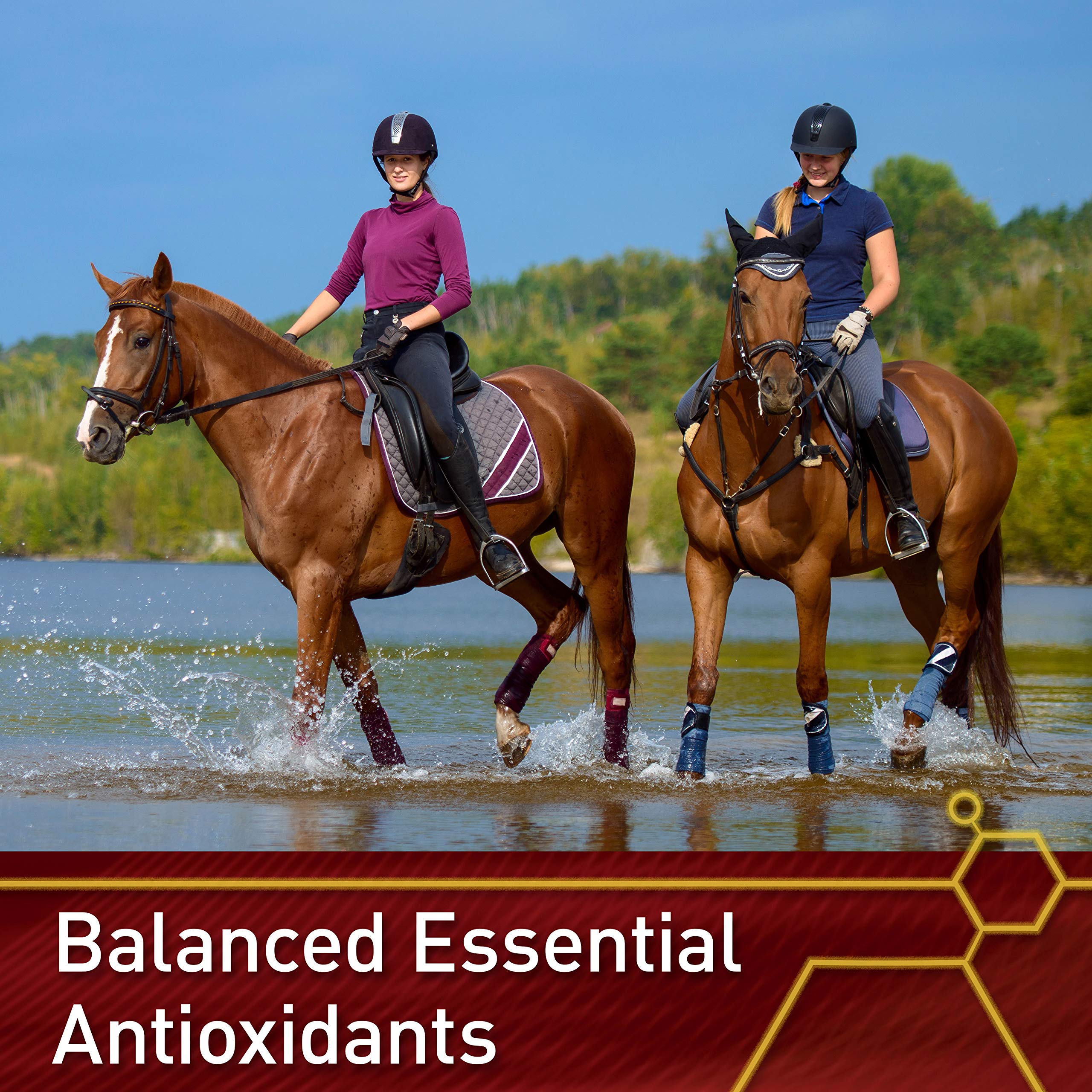 **Pro E & Horse Selenium Supplement – Essential Antioxidants for Equine Health – 20 lb (320-Day Supply) – Supports Immune System & Muscle Recovery**    *(Use for: Performance Horses, Breeding Mares, Senior Horses & General Equine Wellness)*