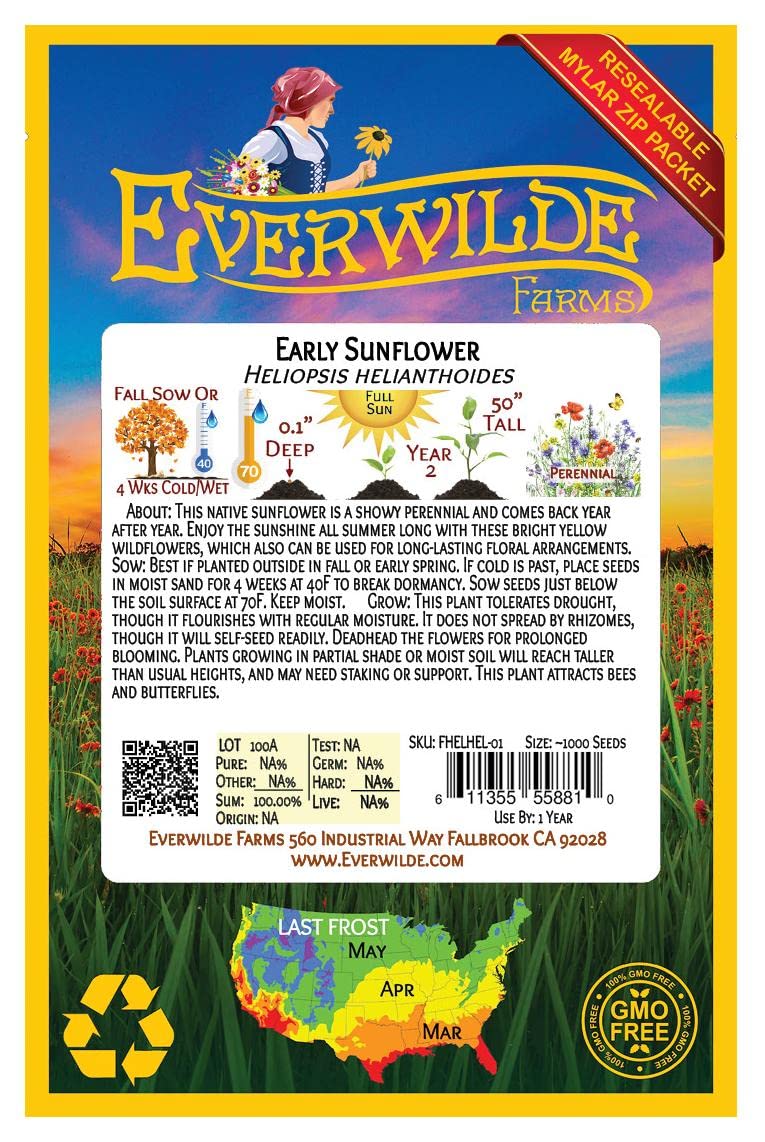 Everwilde Farms 1000 Early Sunflower Native Wildflower Seeds - Gold Vault Jumbo Seed Packet for Home Gardening, Landscaping & Pollinator Gardens