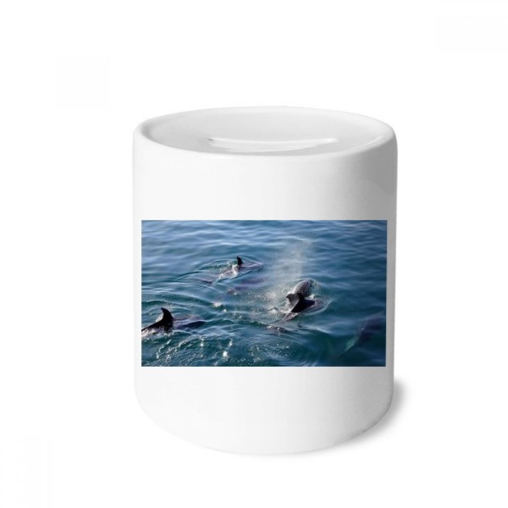 DIYthinker Ceramic Whale Piggy Bank - Ocean Killer Whale Coin Bank with Nature Picture, Money Box for Saving Coins & Cash - Perfect Gift for Kids, Teens, Adults - Use in Bedroom, Office, Nursery Decor