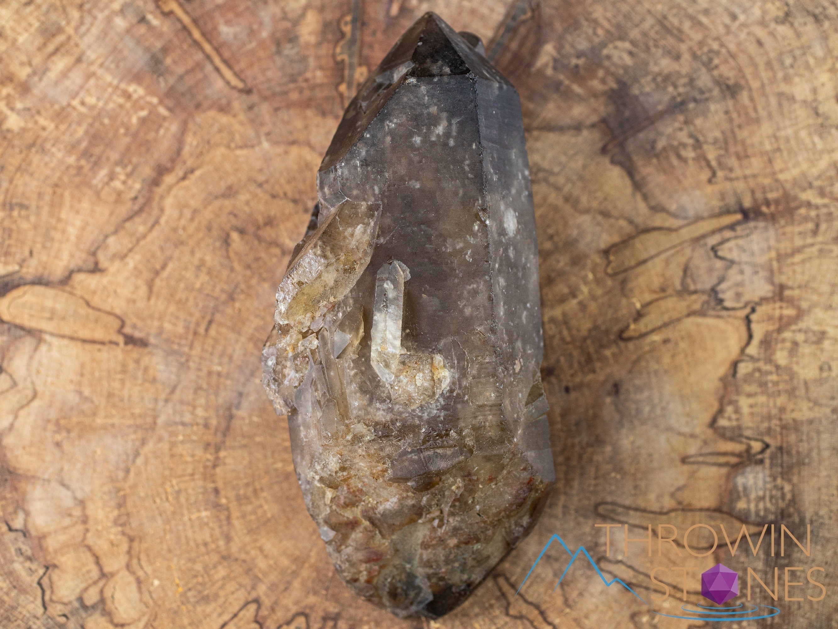 Natural Citrine Raw Crystal Point - November Birthstone, Healing Stone, Home & Office Decor, Feng Shui Crystal for Positive Energy - Perfect for Meditation, Gifts & Spiritual Healing