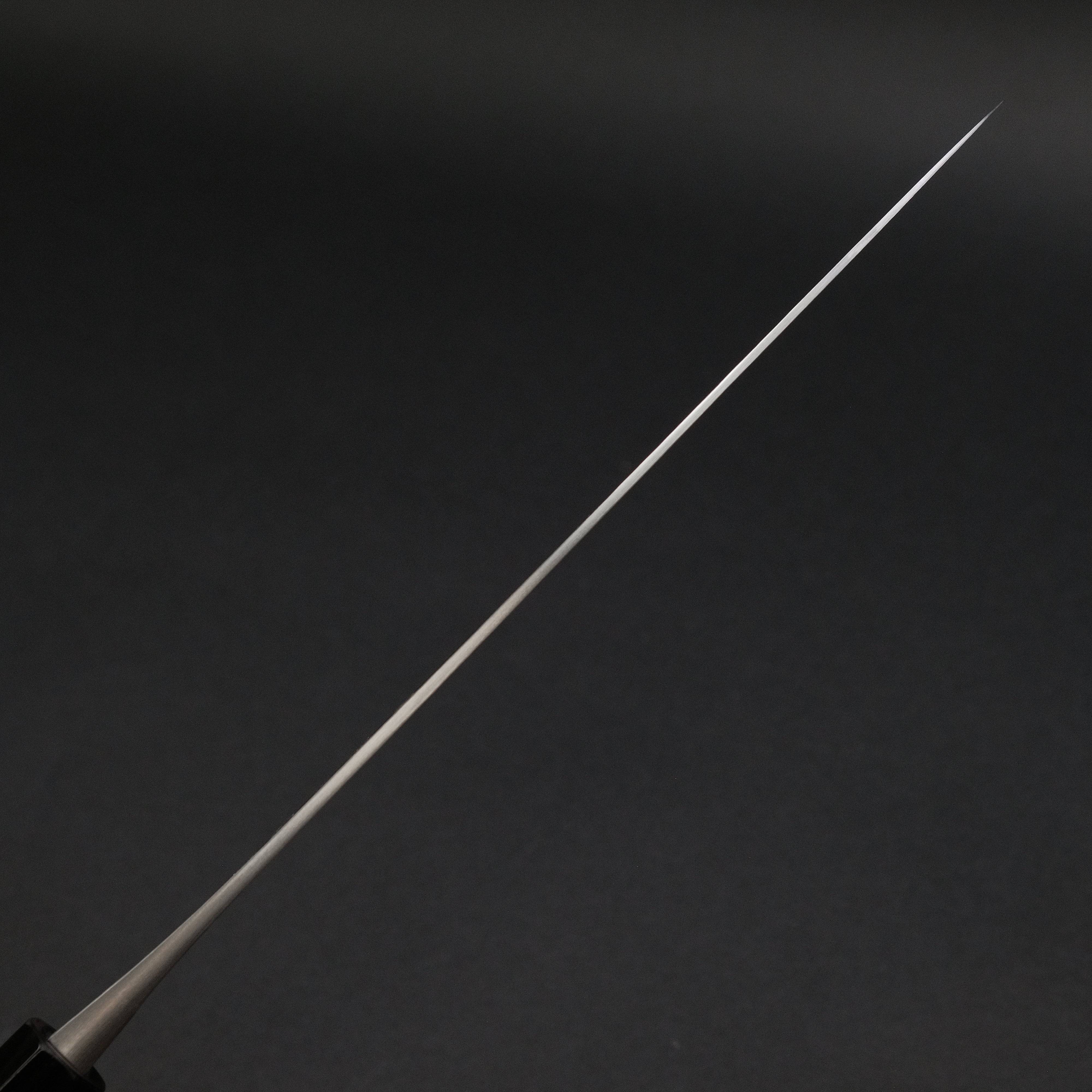 Jiro Tsuchime Sujihiki Knife 240mm - Premium Japanese Slicing Knife with Taihei Tagayasan Handle (#579) - Perfect for Sushi, Sashimi & Meat Carving