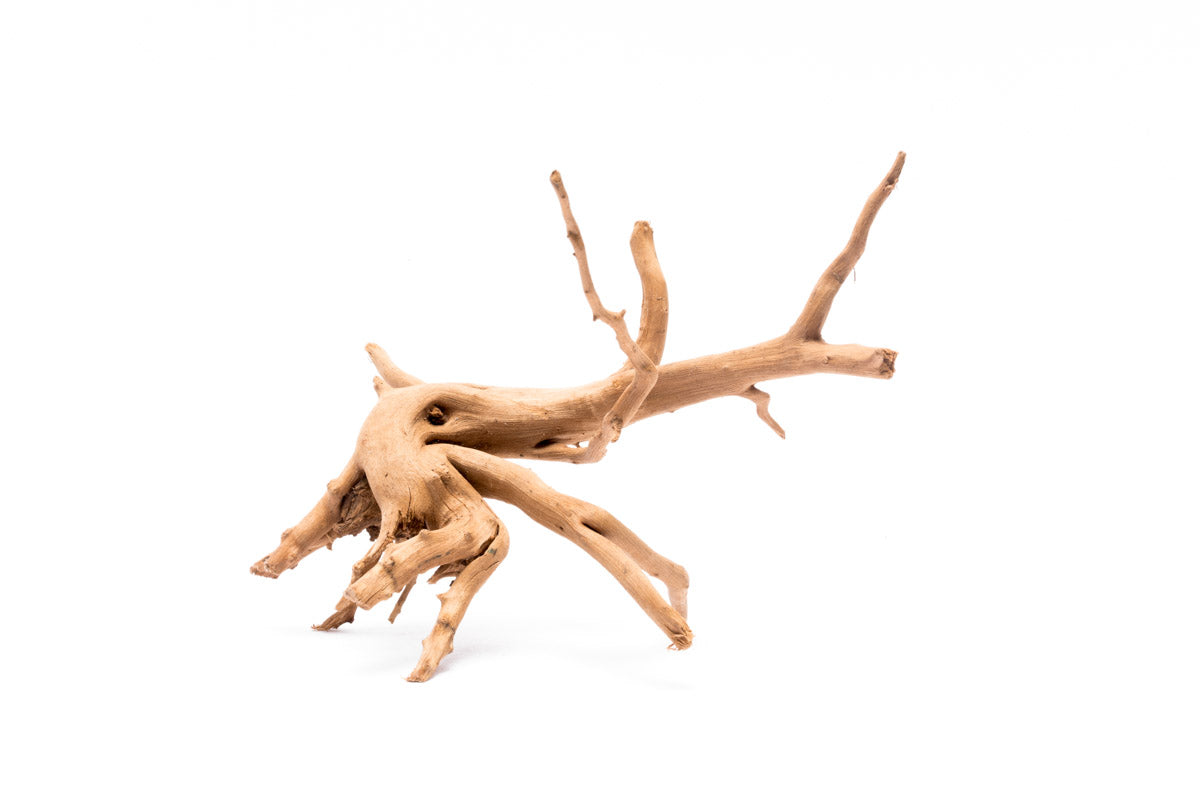 Natural Spider Wood for Aquascaping - Unique Nano Driftwood for Fish Tanks, Shrimp Habitats & Reptile Terrariums - Perfect for Aquarium Decoration & Aquatic Plant Anchoring