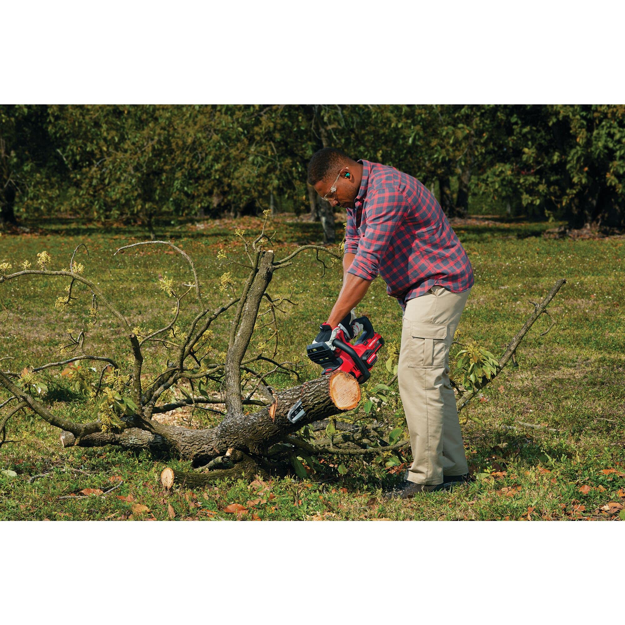 CRAFTSMAN V20 12-Inch Cordless Mini Chainsaw - Bare Tool (CMCCS620B) | Perfect for Tree Trimming, Pruning & DIY Woodworking Projects