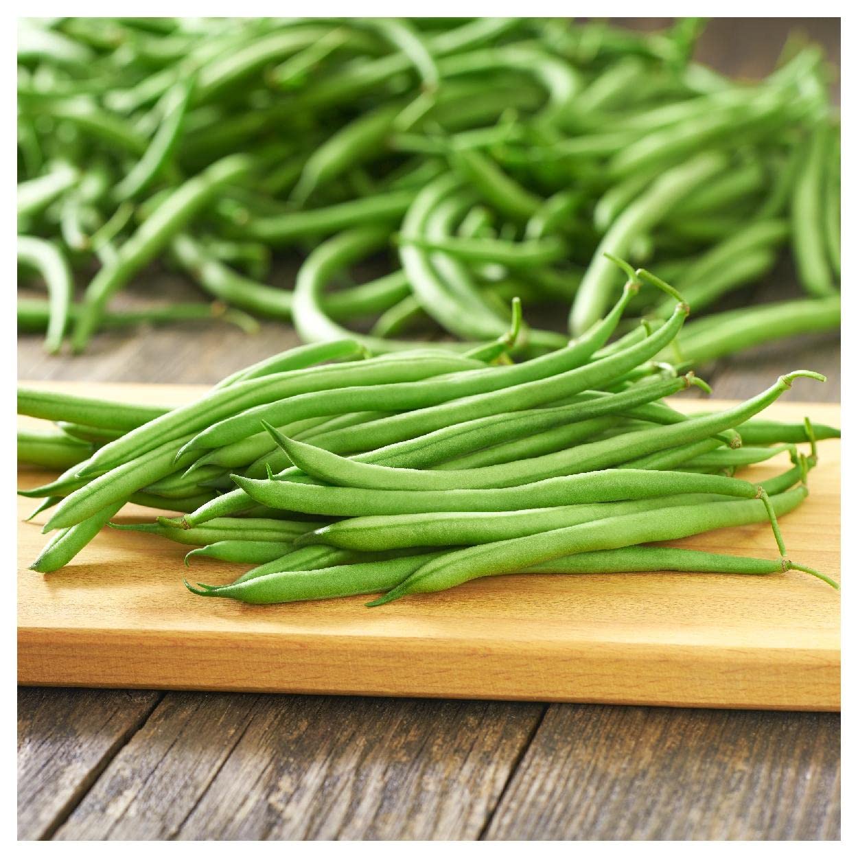 Organic Blue Lake Bush Green Bean Seeds - 1 Lb Non-GMO Heirloom Seeds - Gold Vault Packet for Home Gardening & Sustainable Farming