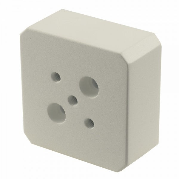 1kg PLUS Counterweight for Precision Scales - Perfect for Lab, Jewelry, and Industrial Use