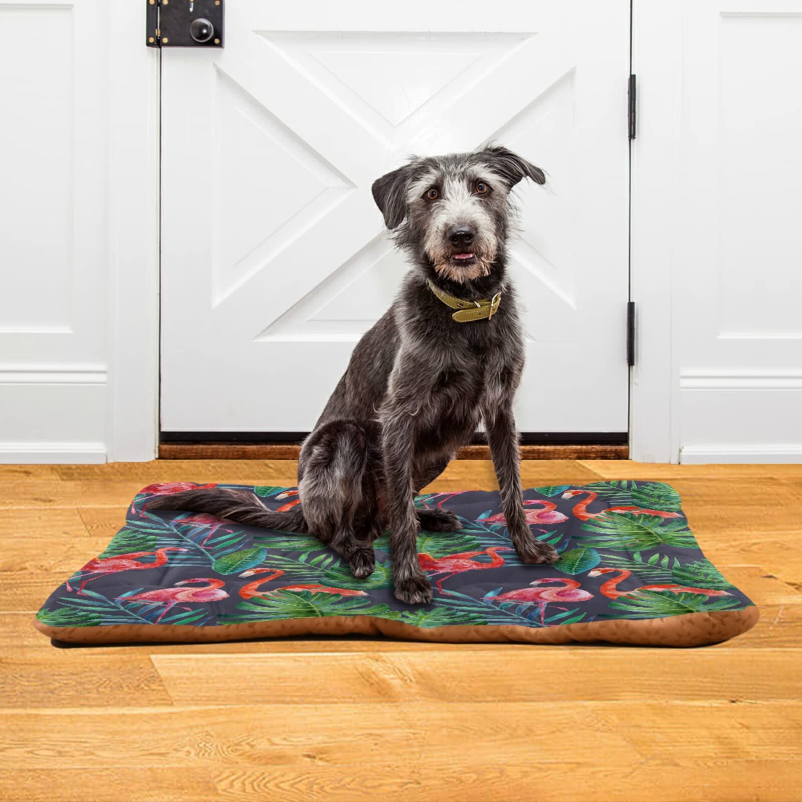 Tropical Flamingo Dog Bed & Cat Bed - Ultra Soft Rectangle Pet Bed for Small & Medium Dogs, 24x18 Inch - Comfortable Calming Bed for Puppies & Kittens - Perfect for Living Room, Bedroom & Pet Travel