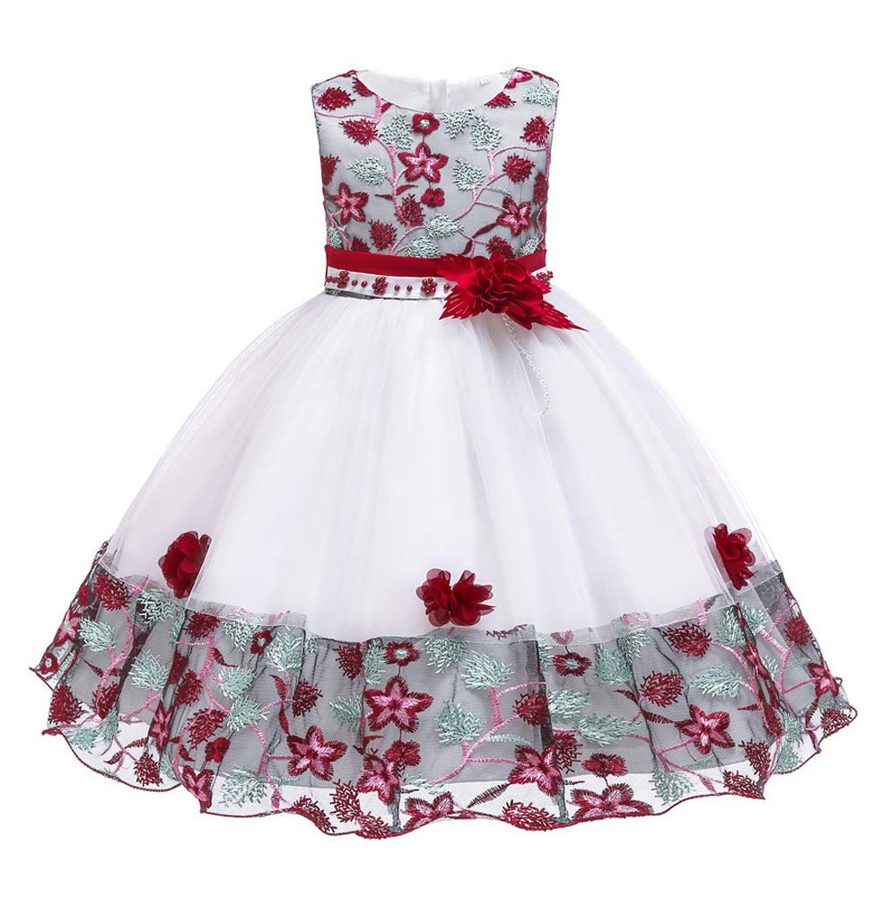Girls' Embroidered Lace Princess Wedding & Baptism Dress - Long Sleeve Formal Party Gown for Toddler Baby Girl - Perfect for Christening, First Communion & Special Occasions