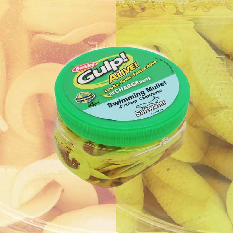 Berkley Gulp Alive 4 Inch Mullet Pint - Saltwater Fishing Bait for Bass, Trout & Redfish - Ideal for Inshore & Offshore Fishing