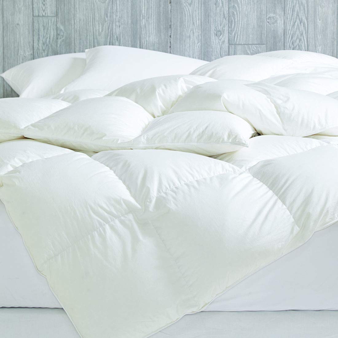 Cuddledown Dreamstead All Season Comforter - 550 Fill Power Duck Down & Down Alternative Blend | 100% Cotton Percale Shell (235 Thread Count) | Hypoallergenic Queen Size Duvet Insert | Perfect for Year-Round Comfort in Bedrooms & Guest Rooms