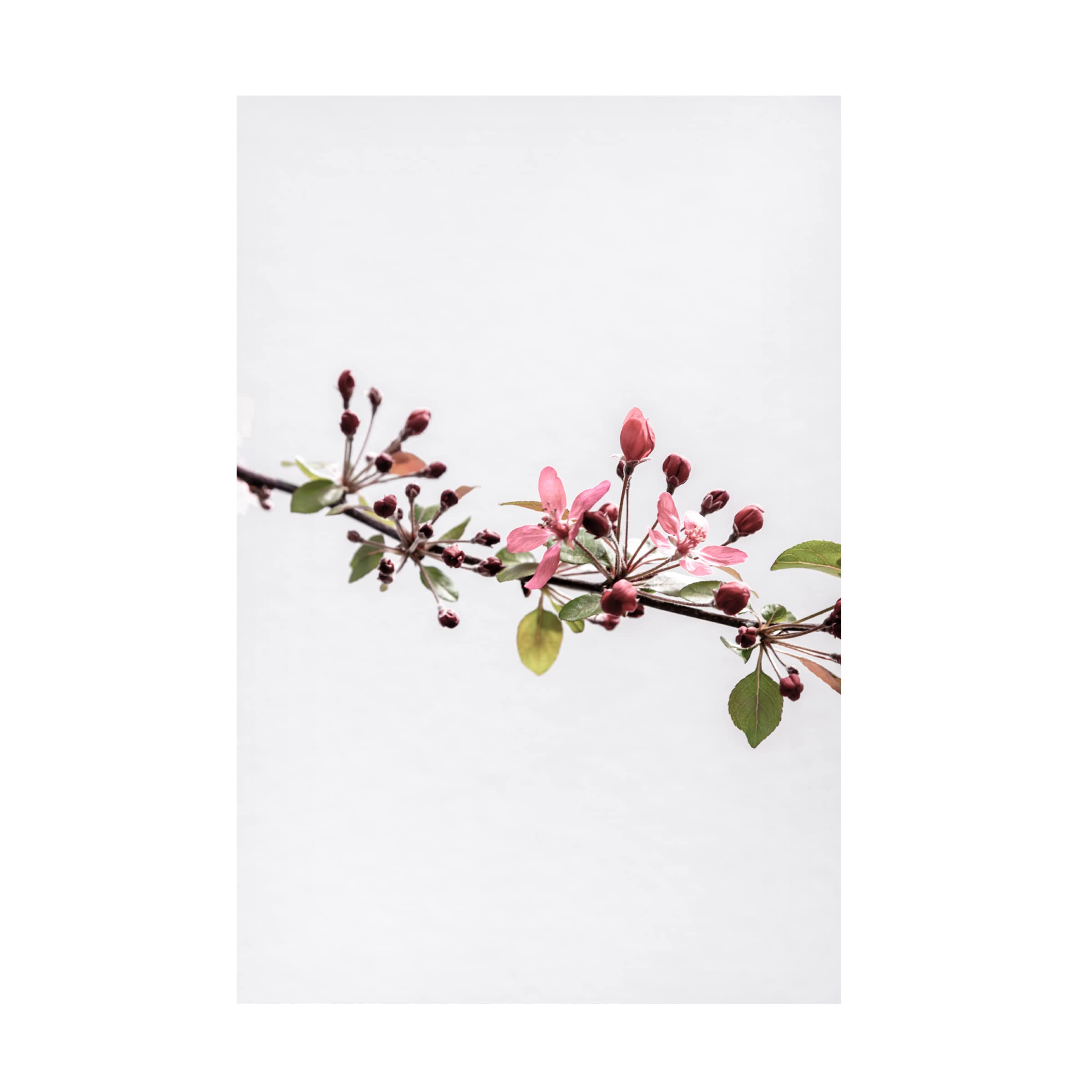 Stormy Spring 18