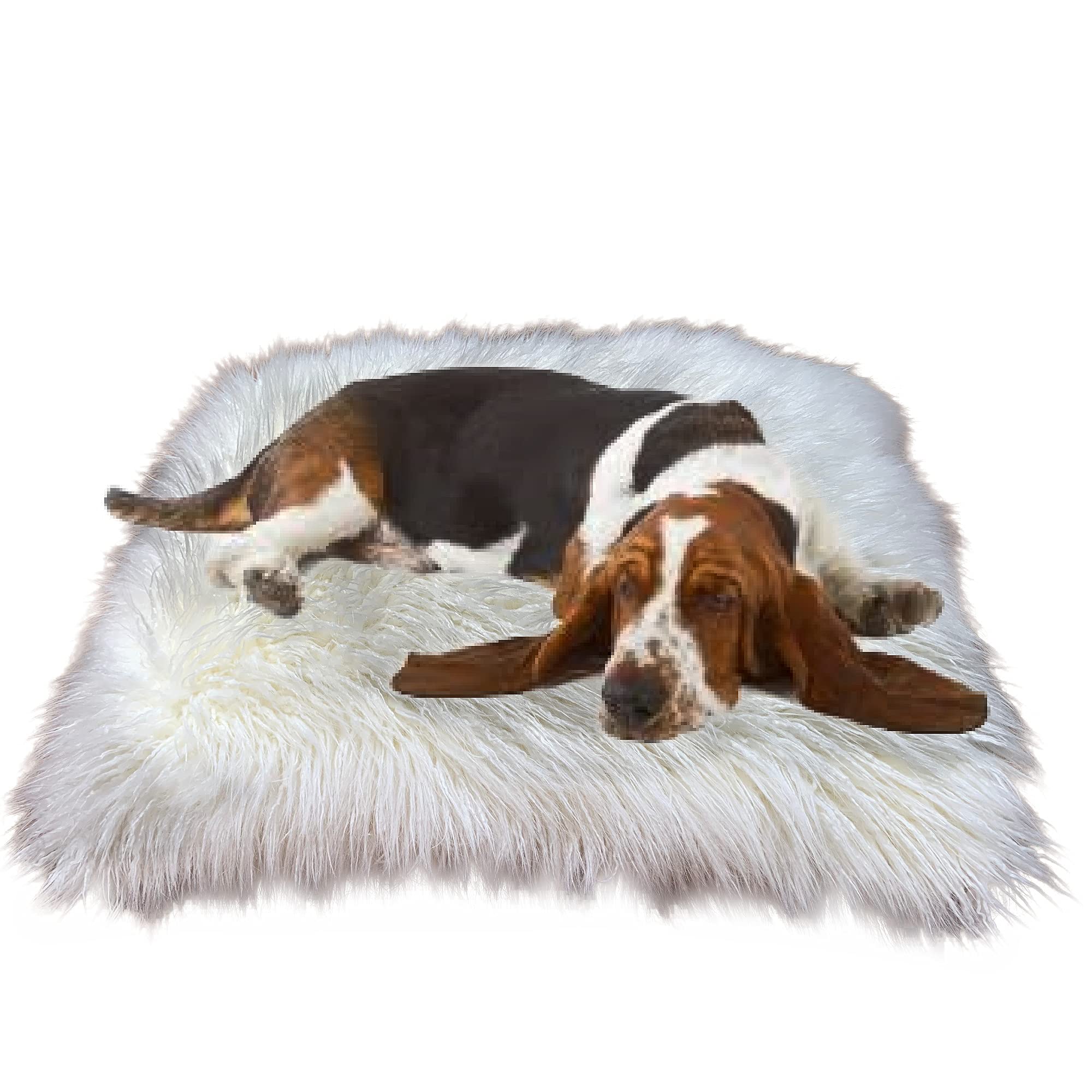 Premium Plush Faux Fur Dog Bed - Ultra Soft Shaggy Pet Bed with Padded Support | Mongolian Fur Design in 4 Colors & Sizes | Cozy Sleeping Spot for Dogs & Cats | Perfect for Bedrooms, Living Rooms & Pet Crates