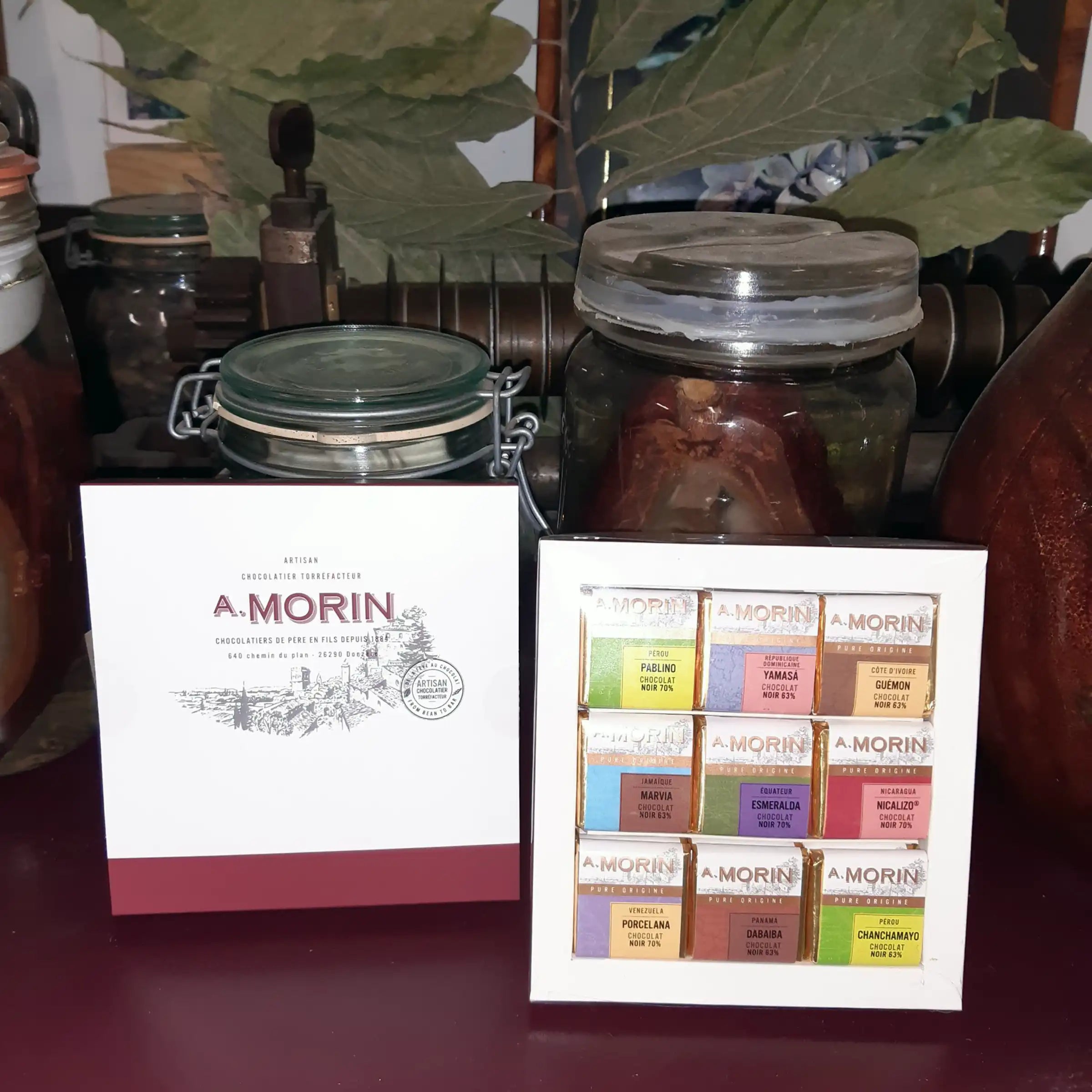 Premium A. Morin Dark Chocolate Tasting Box - 27 Artisan Pieces | Gourmet Chocolate Gift Set for Holidays, Parties & Special Occasions | Perfect for Chocolate Lovers & Foodies