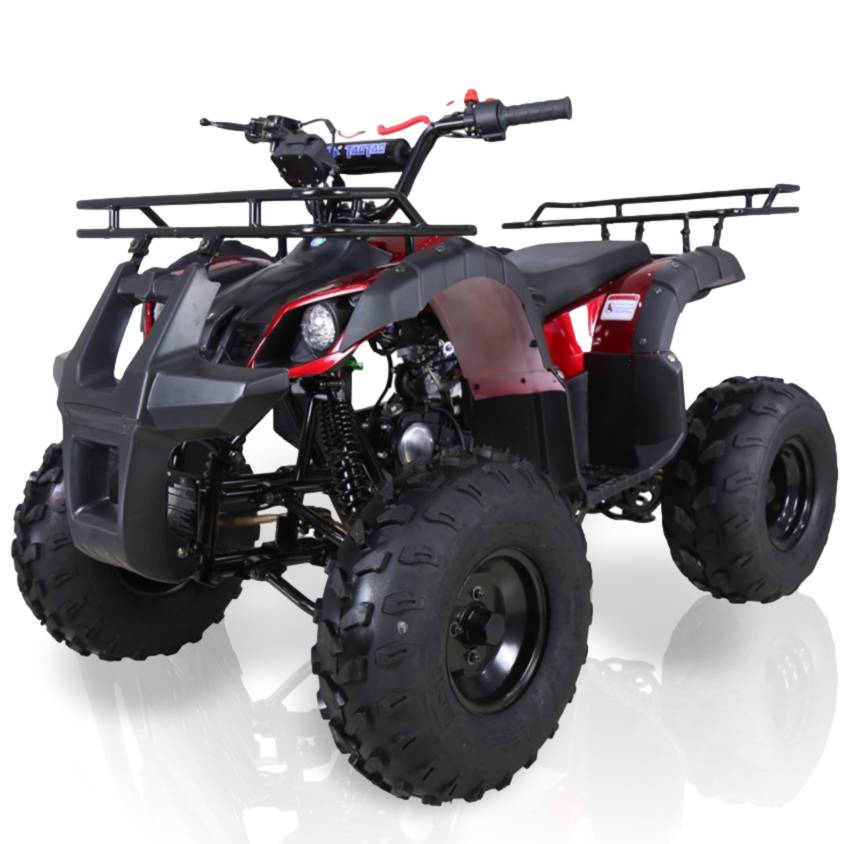 TaoMotor Trooper T125 Kids ATV - 125cc 4-Stroke Gas-Powered Youth ATV for Off-Road Adventure, Perfect for Trail Riding & Backyard Fun