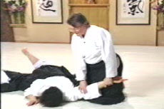 Aikido Principles & Techniques DVD by Mary Heiny - Learn Self-Defense & Martial Arts for Home Training, Dojo Practice & Fitness