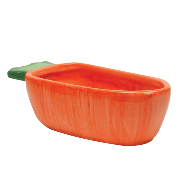 Kaytee Vege T Bowl Carrot - Healthy Small Pet Treats for Rabbits, Guinea Pigs & Hamsters | Perfect for Snacking, Training & Bonding Time