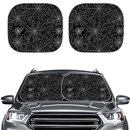 Spider Web