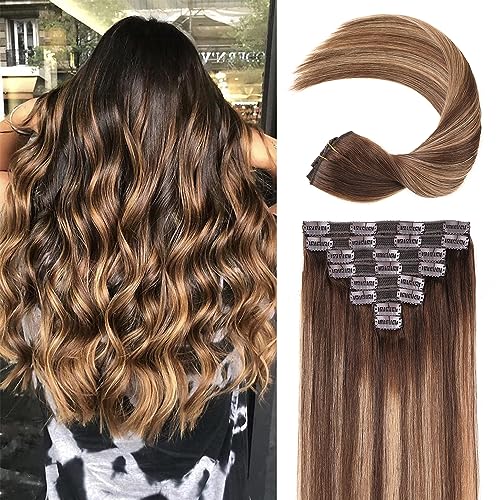 Ombre Chocolate Brown to Caramel Blonde #4/27 T4