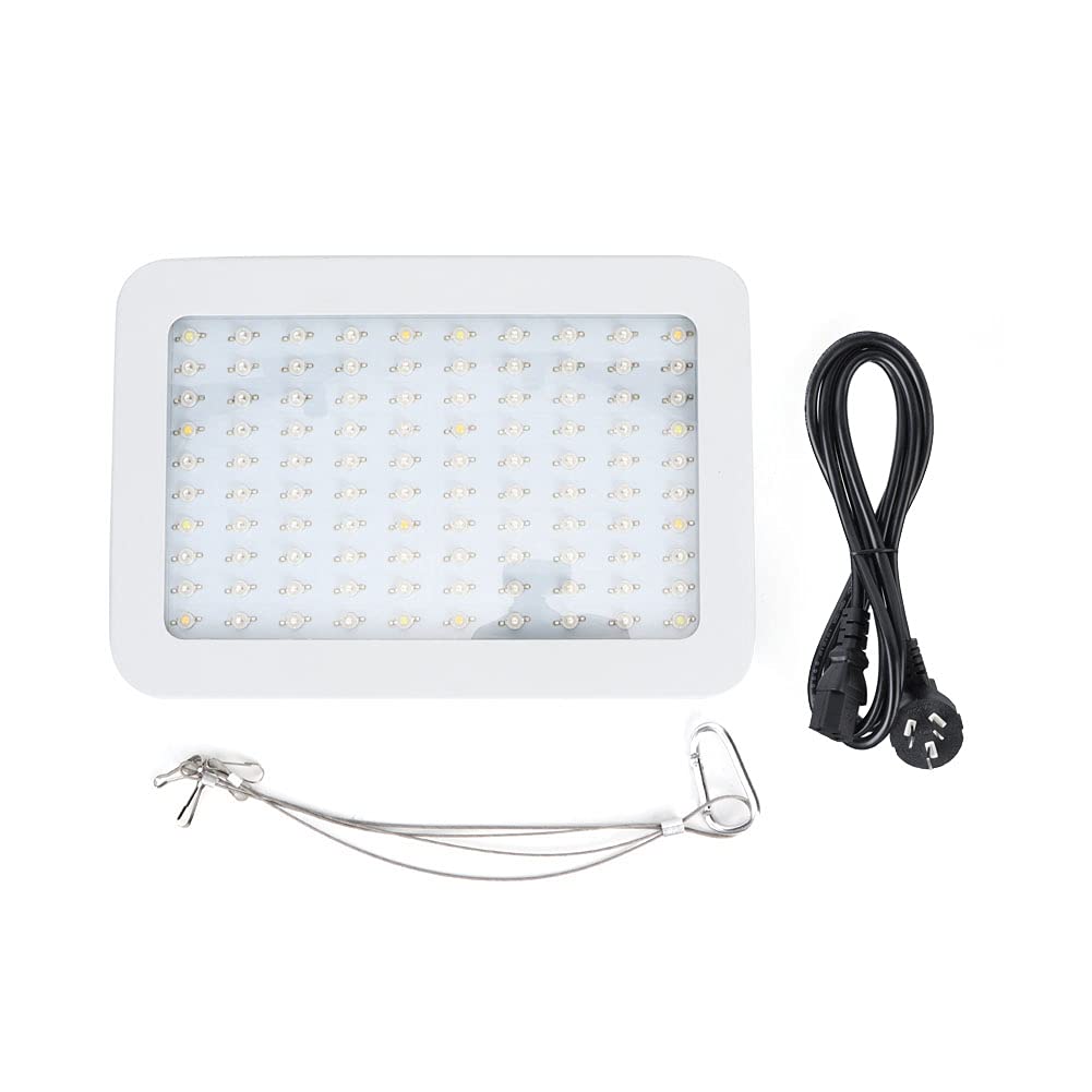 1000W COB Grow Light for Indoor Plants - Full Spectrum LED Plant Light with US Plug for Greenhouse, Hydroponics & Indoor Gardening - Ideal for Seedlings, Vegetables & Flowers