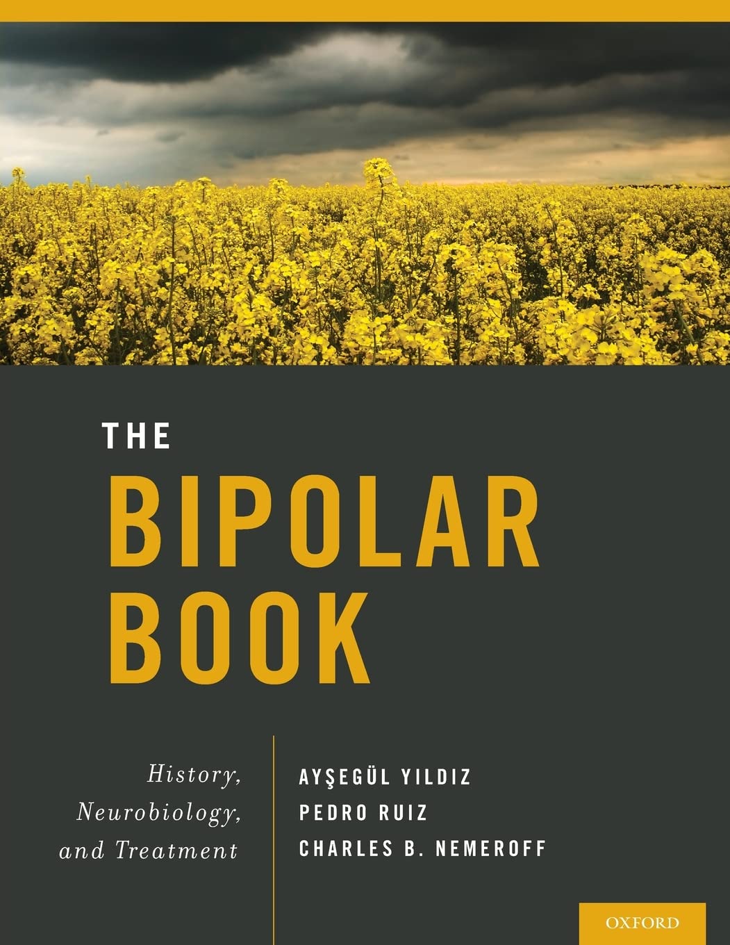 The Bipolar Book: Comprehensive Guide on History, Neurobiology & Treatment - Essential Reading for Mental Health Professionals & Patients