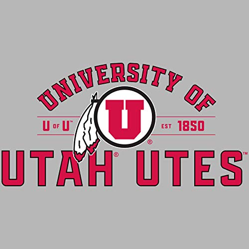 University Arch + Circle Feather - Gray