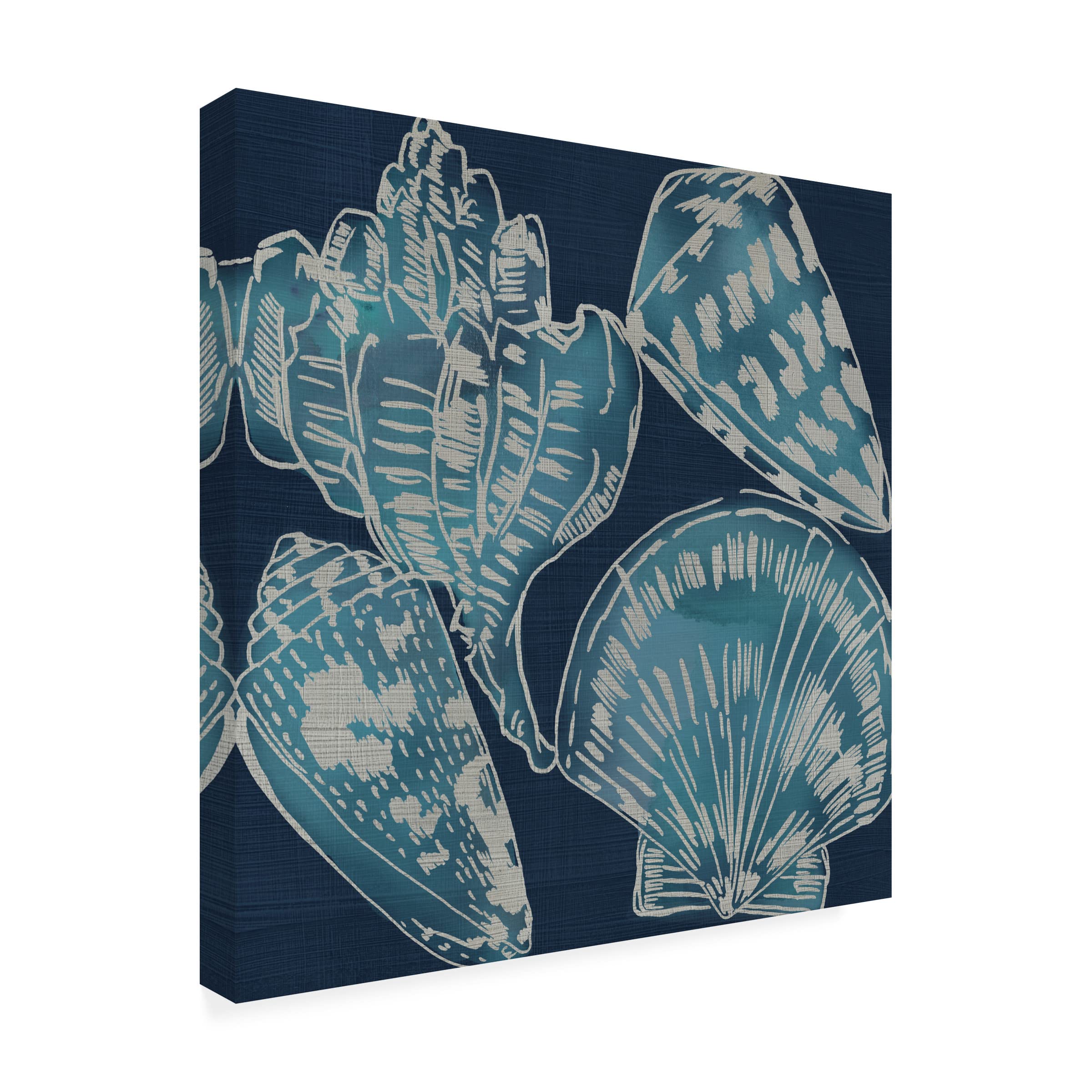 Trademark Fine Art 'Marine Shells II' by Chariklia Zarris - Stretched Canvas Wall Art Decor for Living Room, Bedroom & Office | Coastal Beach Theme Home Decor