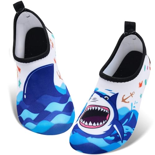 Blue Shark
