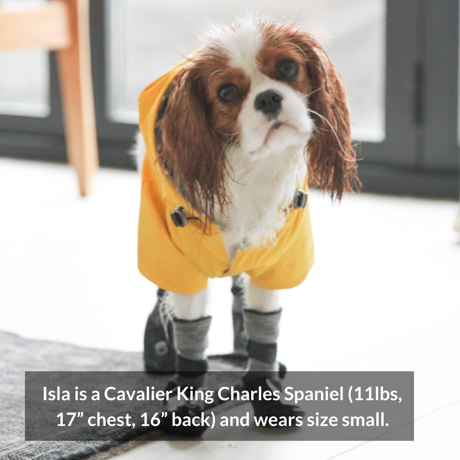 Waterproof Dog Jacket with Hood - Adjustable Lightweight Yellow Coat for Small & Medium Dogs | DJANGO Highland Dog Jacket with Harness Hole, Cozy Lining & Back Pocket (Medium, Yellow) | Perfect for Outdoor Adventures, Hiking & Cold Weather Protection