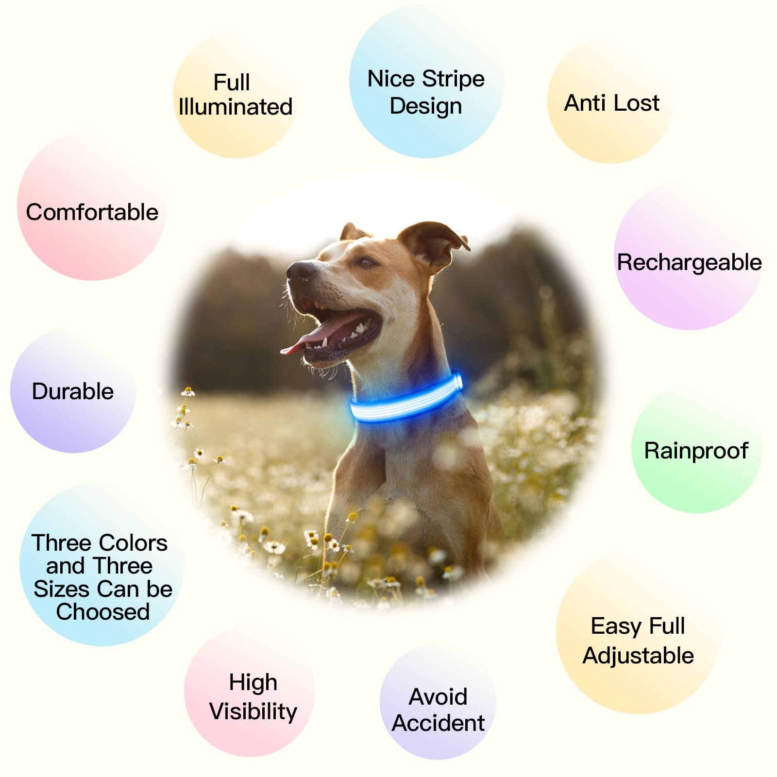 YFbrite USB Rechargeable LED Dog Collar - Super Bright Adjustable Glowing Collar for Night Walking, Safety & Visibility - Blue Small Size | Perfect for Evening Walks, Jogging, and Outdoor Adventures with Your Pet