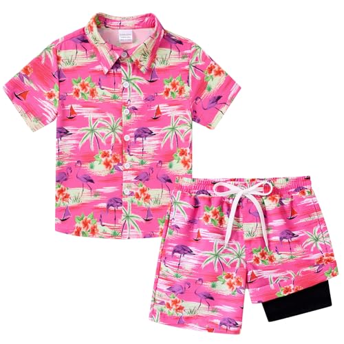 Flamingo-2