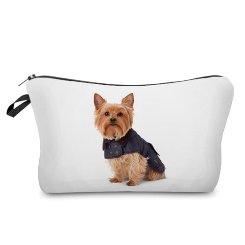 Yorkshire Terrier 02
