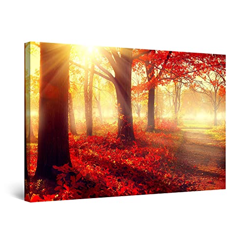 Red Yellow Forest