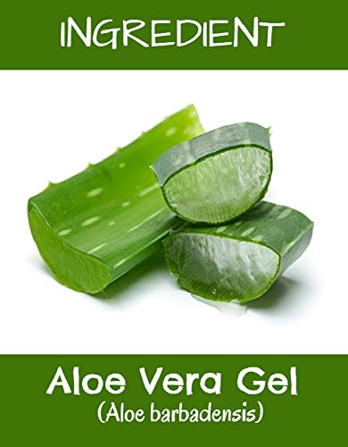 MR Ayurveda 99% Pure Aloe Vera Gel for Face, Hair & Skin Care - 100ml | Hydrating, Soothing & Healing | Perfect for Sunburn Relief, Moisturizing & Scalp Treatment