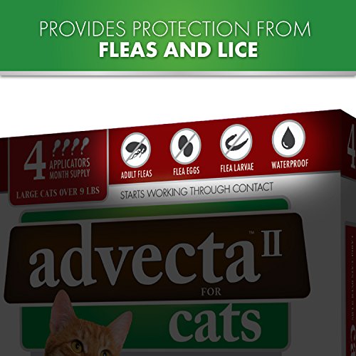 Advecta II Flea Treatment for Cats Over 9 lbs - 4 Month Supply | Fast-Acting Flea Prevention & Control for Indoor & Outdoor Cats