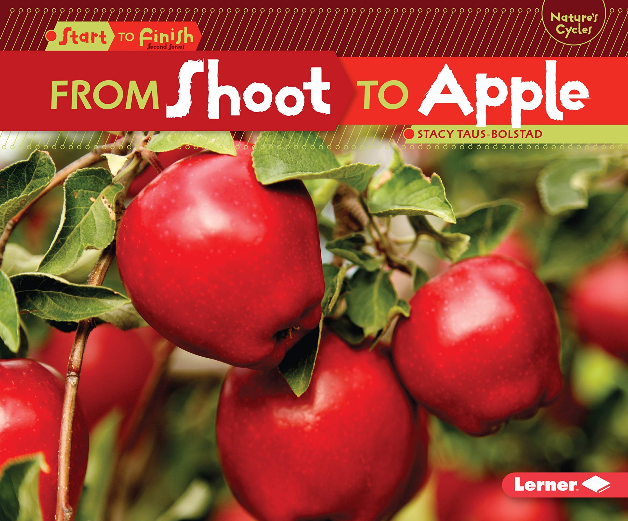 From Shoot to Apple: Complete Guide to Fruit Growth Process (Start to Finish Series 2) | Perfect for Gardening Enthusiasts & Botany Students