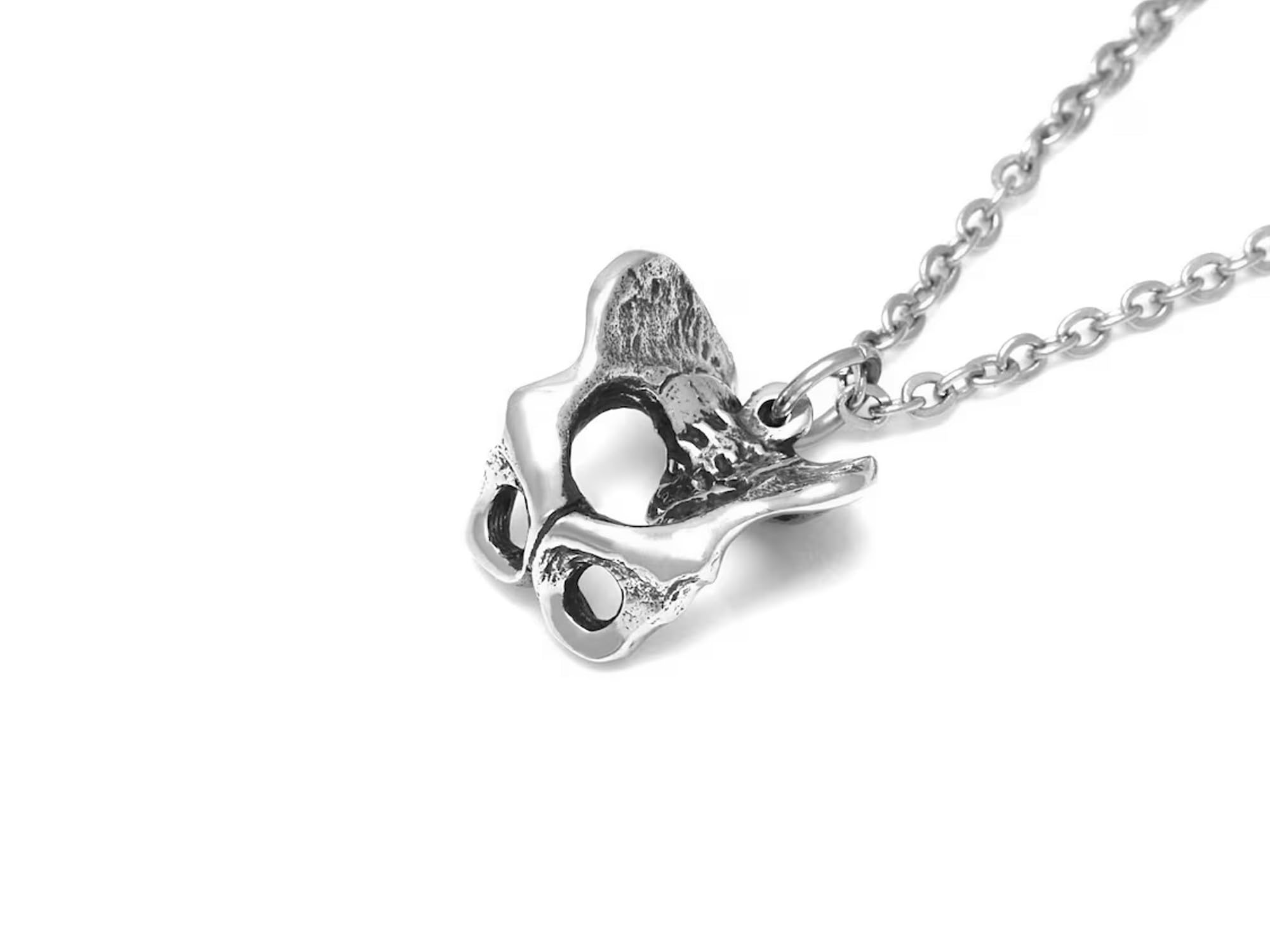 Human Pelvis Bone Pendant Necklace - Anatomical Pelvic Charm Jewelry for Medical Students, Gothic Fashion & Unique Gift Ideas