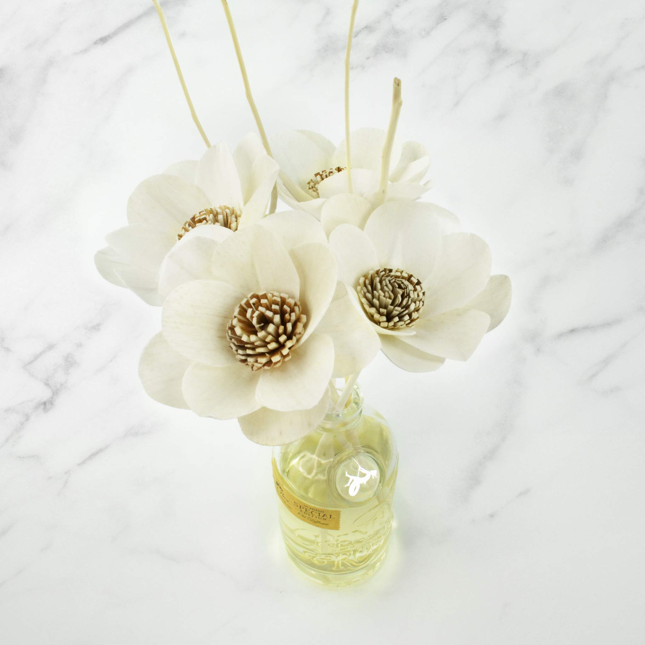 Penny & Rose Magnolia Reed Diffuser with Essential Oil - Long Lasting Aromatherapy Home Fragrance for Living Room, Bedroom, Bathroom & Office Decor