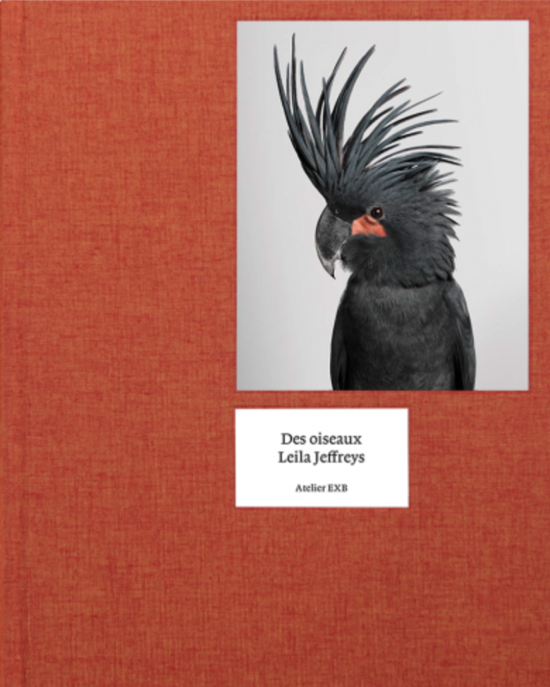 Des Oiseaux by Leila Jeffreys - Stunning Bird Photography Art Book for Nature Lovers | Perfect for Home Decor, Coffee Table Display & Gift for Bird Enthusiasts