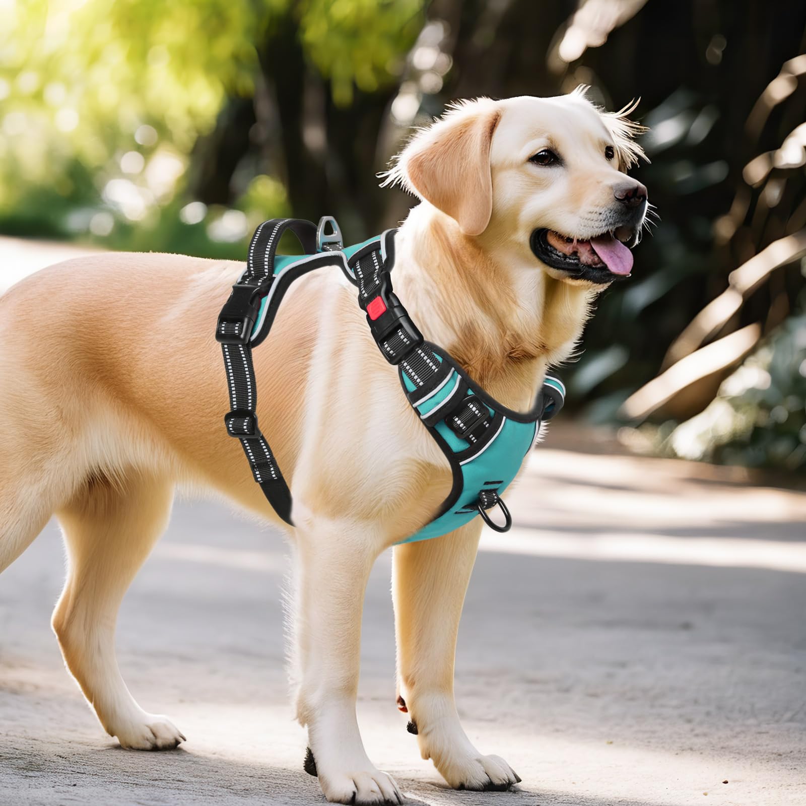 **Timos No-Pull Dog Harness with 3 Snap Buckles & 2 Leash Clips - Adjustable Soft Padded Reflective Vest for Small, Medium, Large & X-Large Dogs - No-Choke Oxford Design for Walking, Running & Outdoor Adventures**